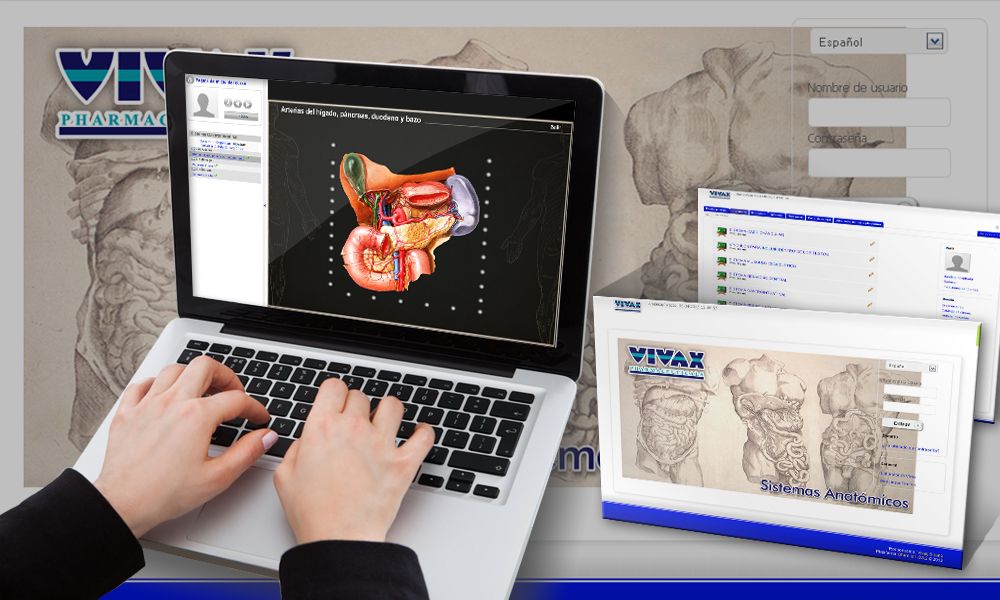 Elearning-Vivax.jpg