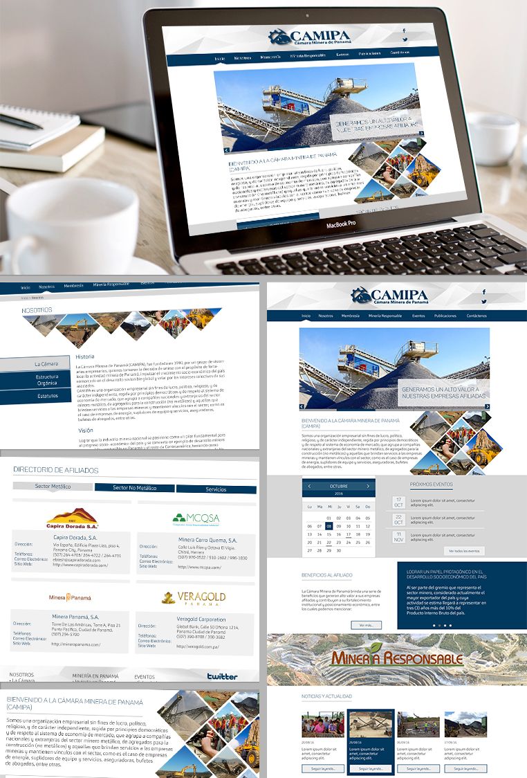 Desarrollo Web Camipa