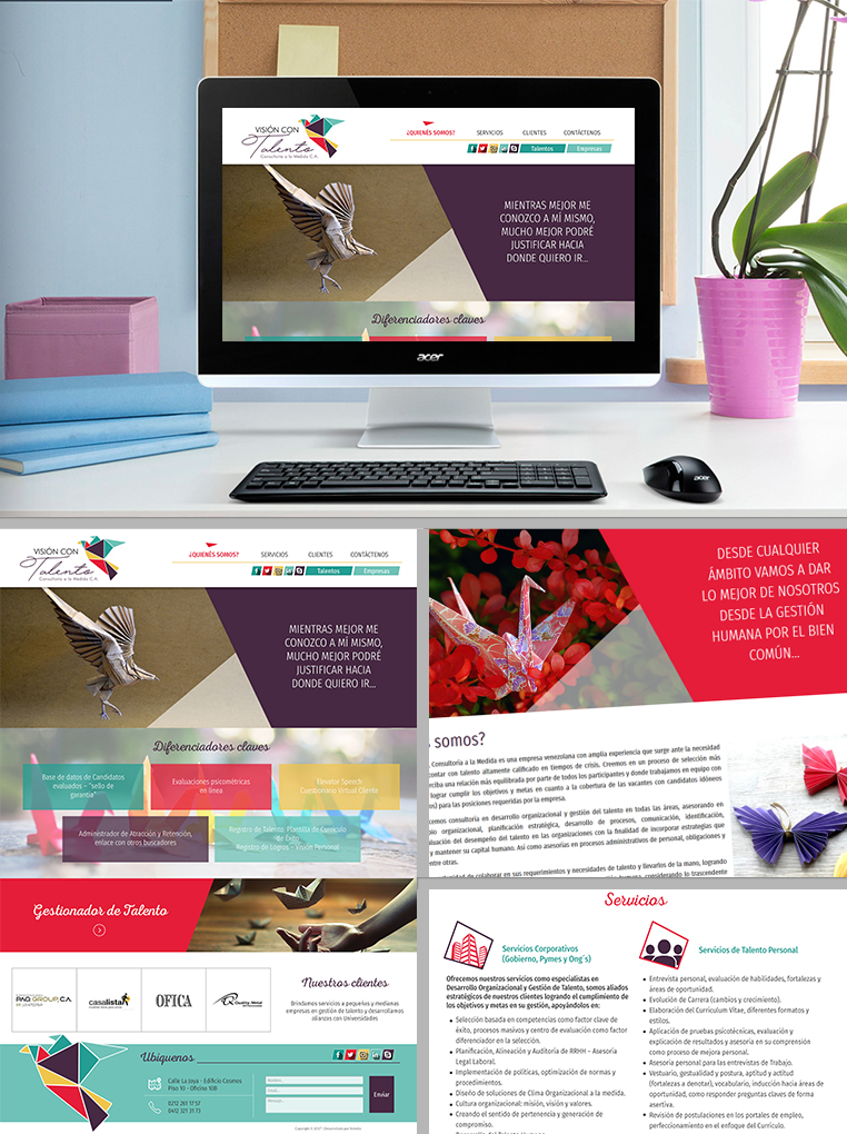 Desarrollo Web Vision con Talento